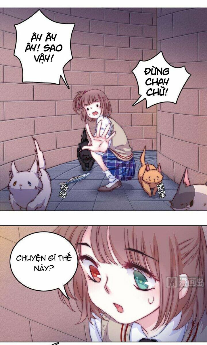 Hôn Tỉnh Thần Bảo Hộ Của Tôi Chapter 1 - Trang 26