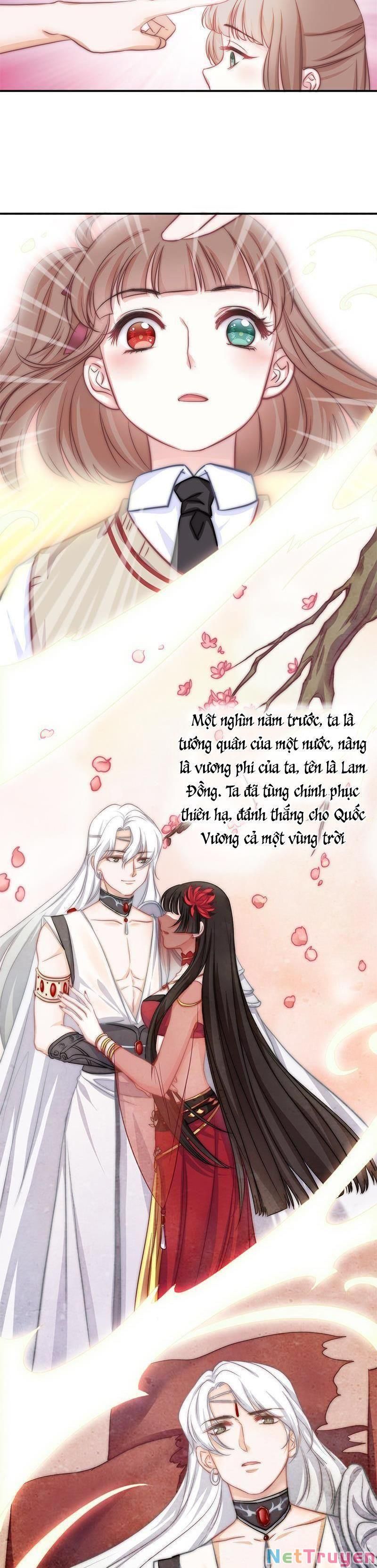 Hôn Tỉnh Thần Bảo Hộ Của Tôi Chapter 5 - Trang 5