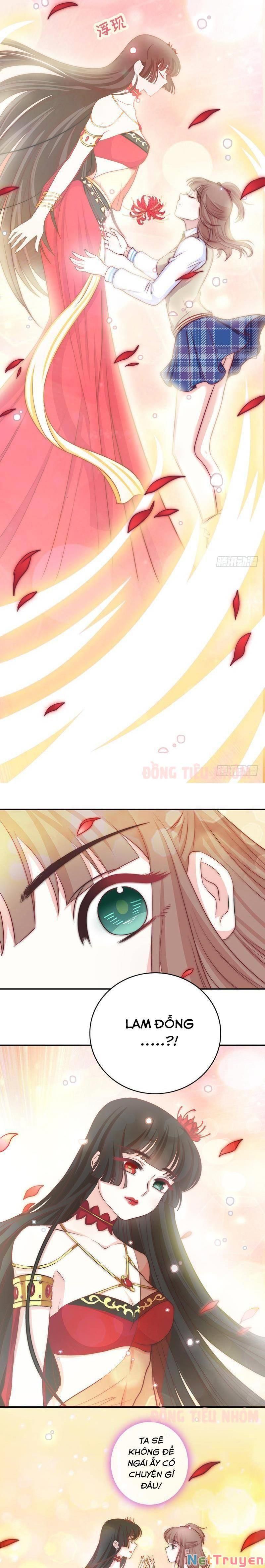 Hôn Tỉnh Thần Bảo Hộ Của Tôi Chapter 51 - Trang 7
