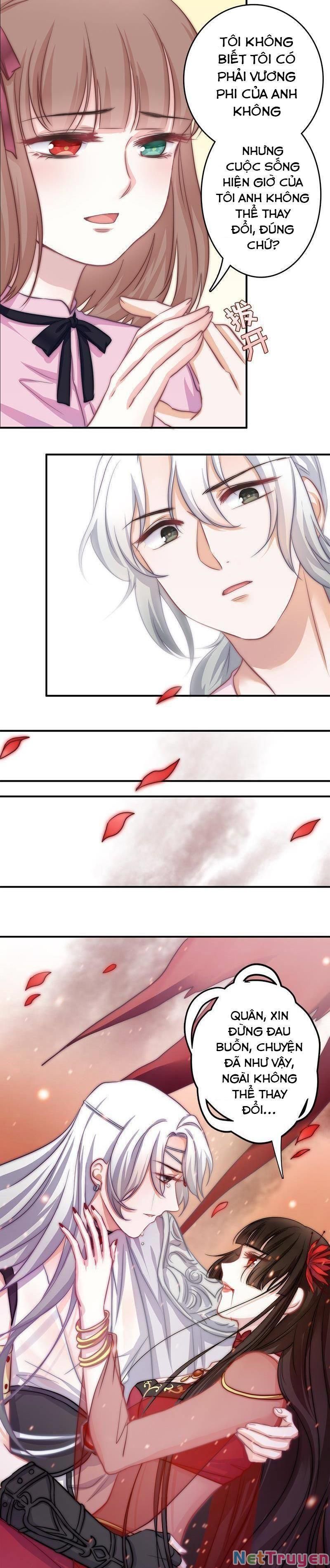 Hôn Tỉnh Thần Bảo Hộ Của Tôi Chapter 7 - Trang 11