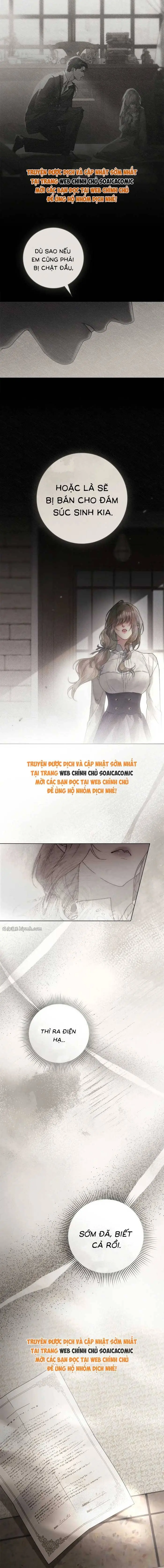 Hôn Ước Đổi Mạng Chapter 10 - Trang 4