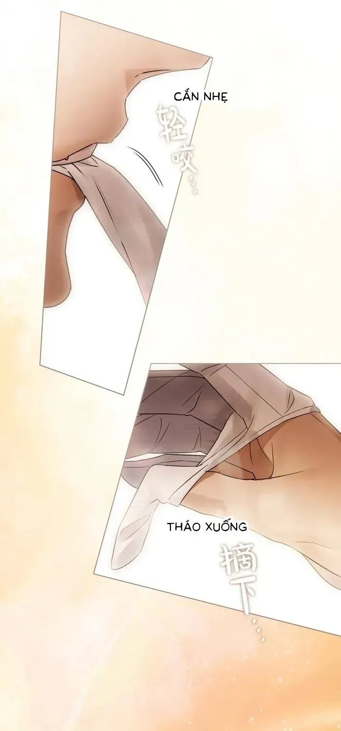 Hôn Ước Đổi Mạng Chapter 32 - Trang 36