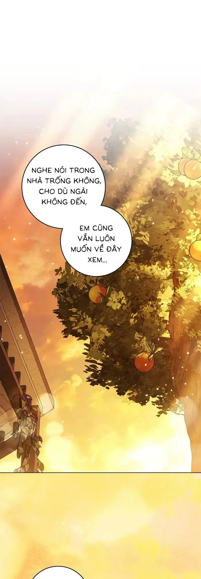 Hôn Ước Đổi Mạng Chapter 35 - Trang 14