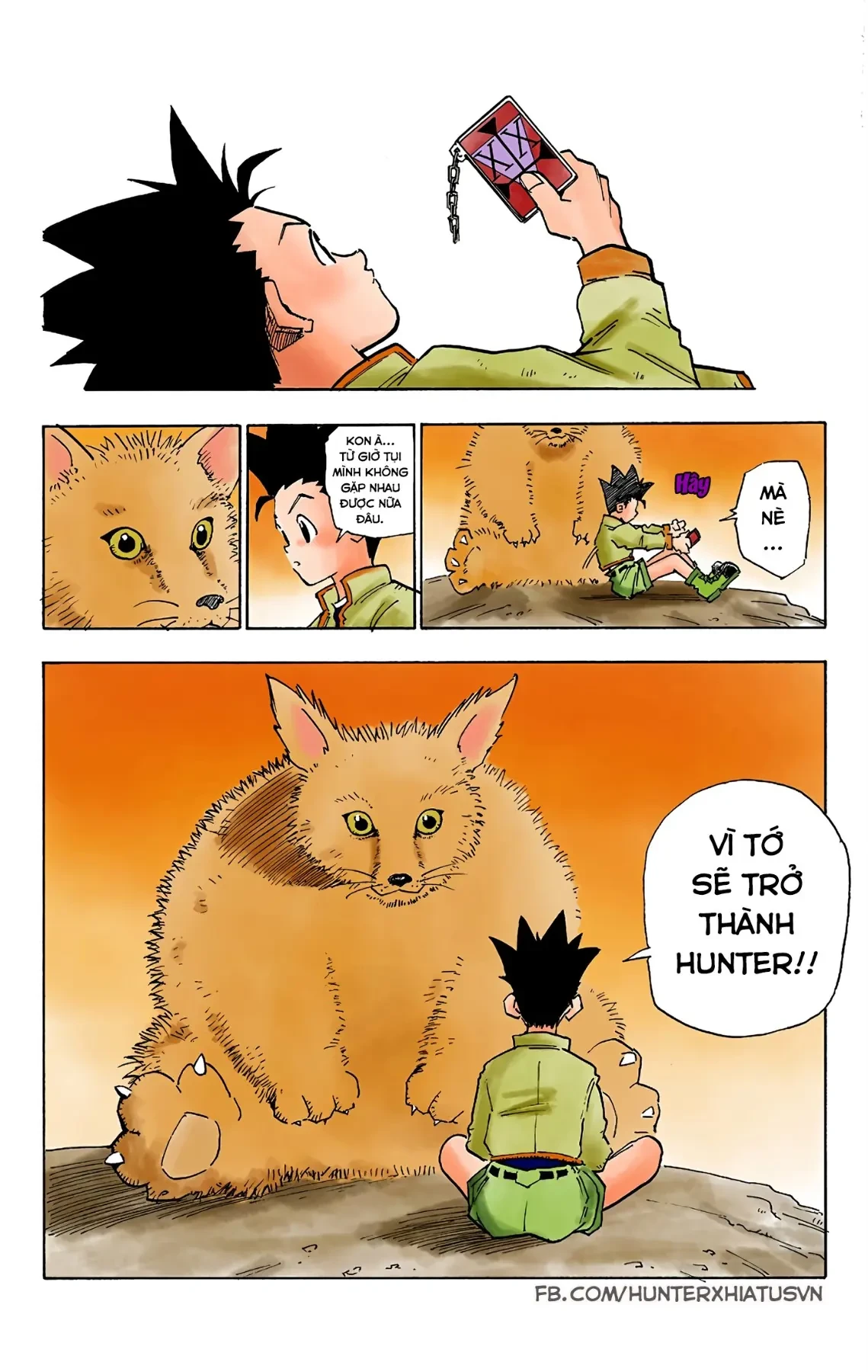 Hunter x Hunter (Bản Màu) Chapter 1 - Trang 29