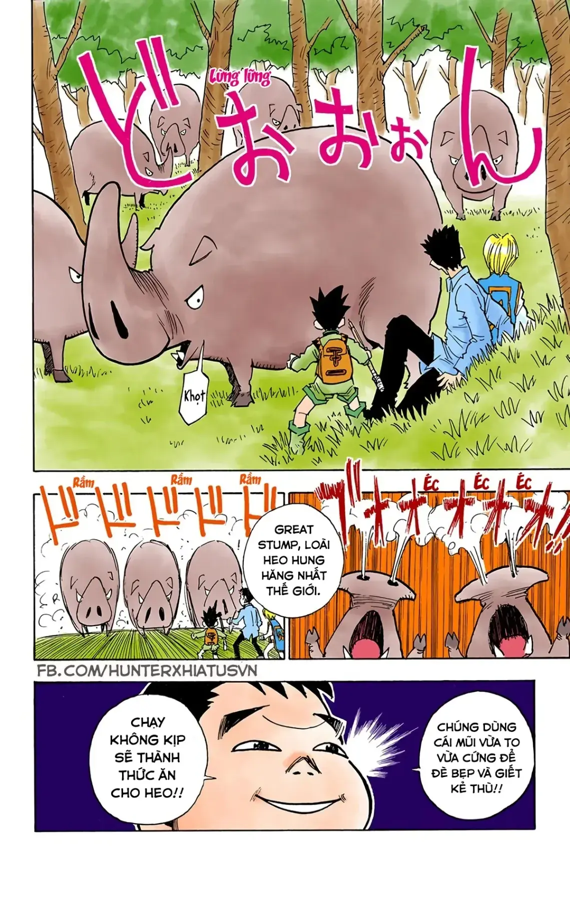 Hunter x Hunter (Bản Màu) Chapter 10 - Trang 17