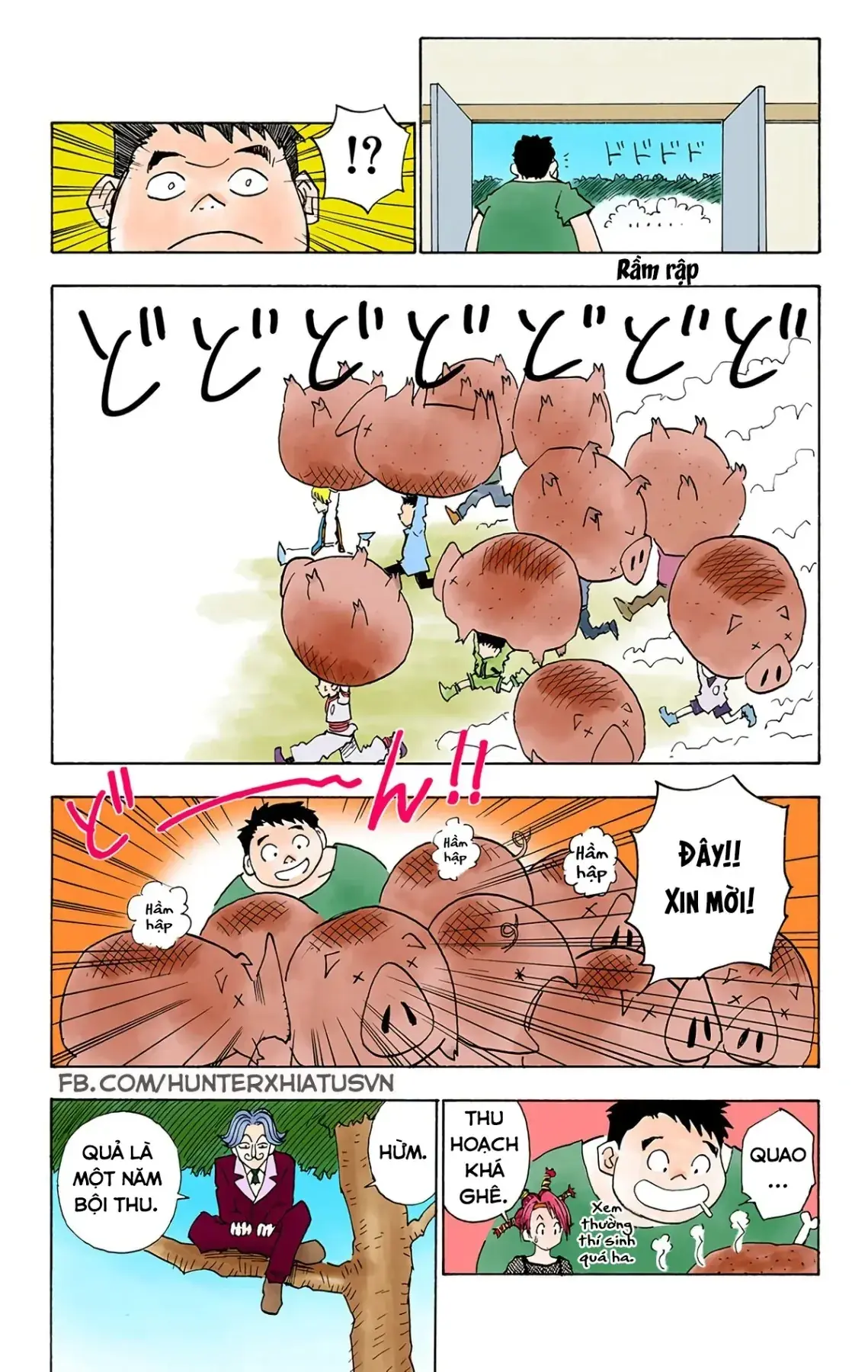 Hunter x Hunter (Bản Màu) Chapter 10 - Trang 20