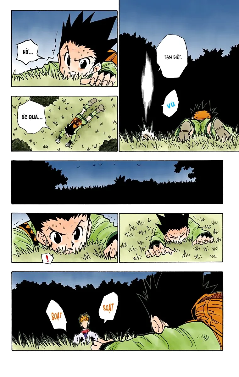 Hunter x Hunter (Bản Màu) Chapter 28 - Trang 13