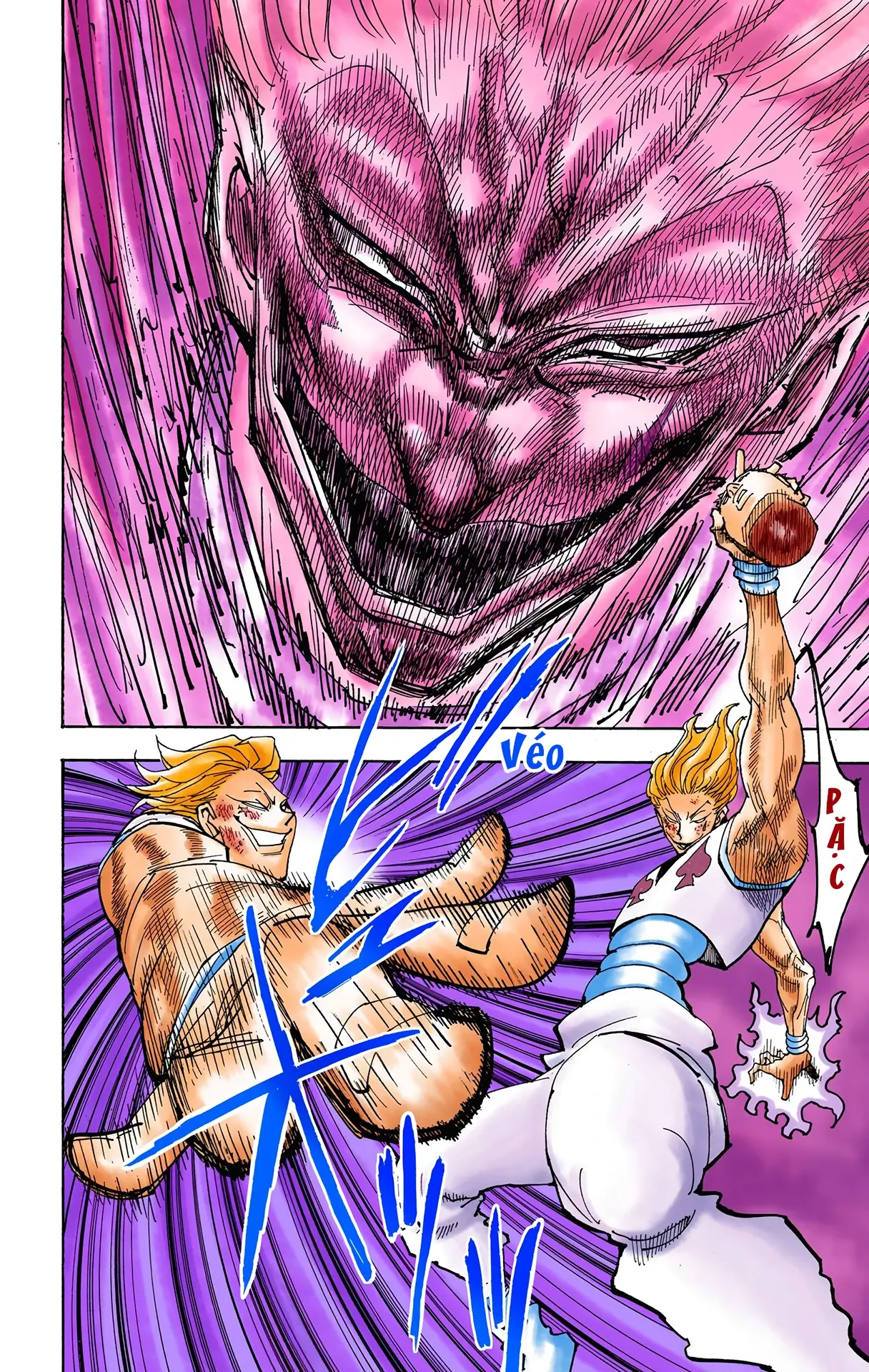 Hunter x Hunter (Bản Màu) Chapter 355 - Trang 10