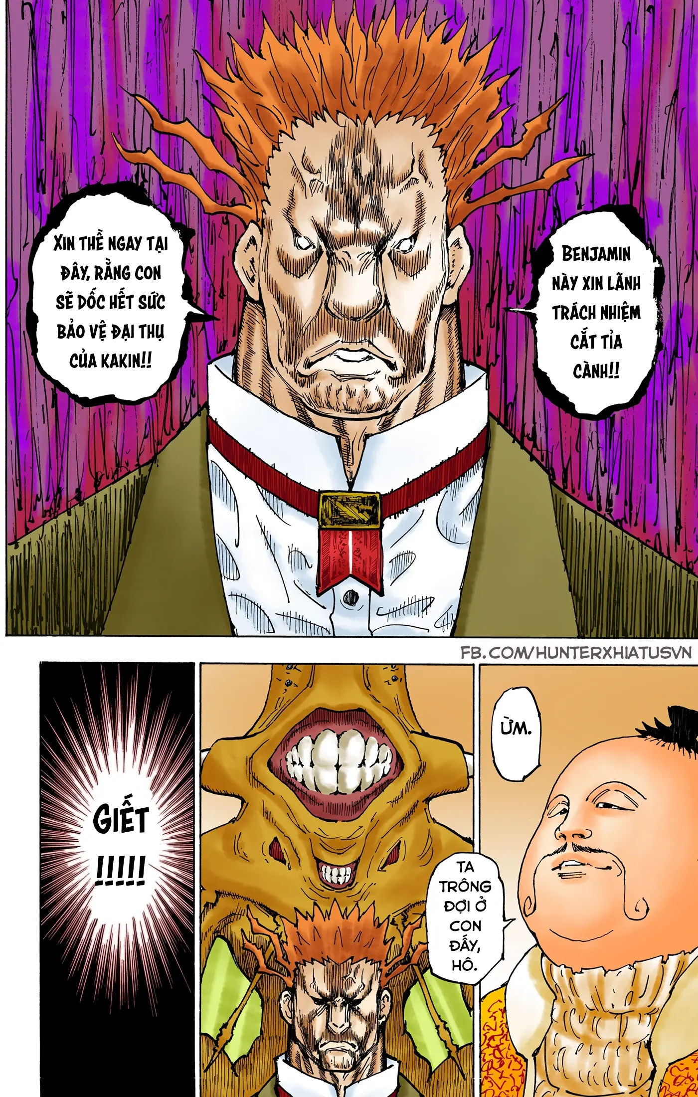 Hunter x Hunter (Bản Màu) Chapter 363 - Trang 8