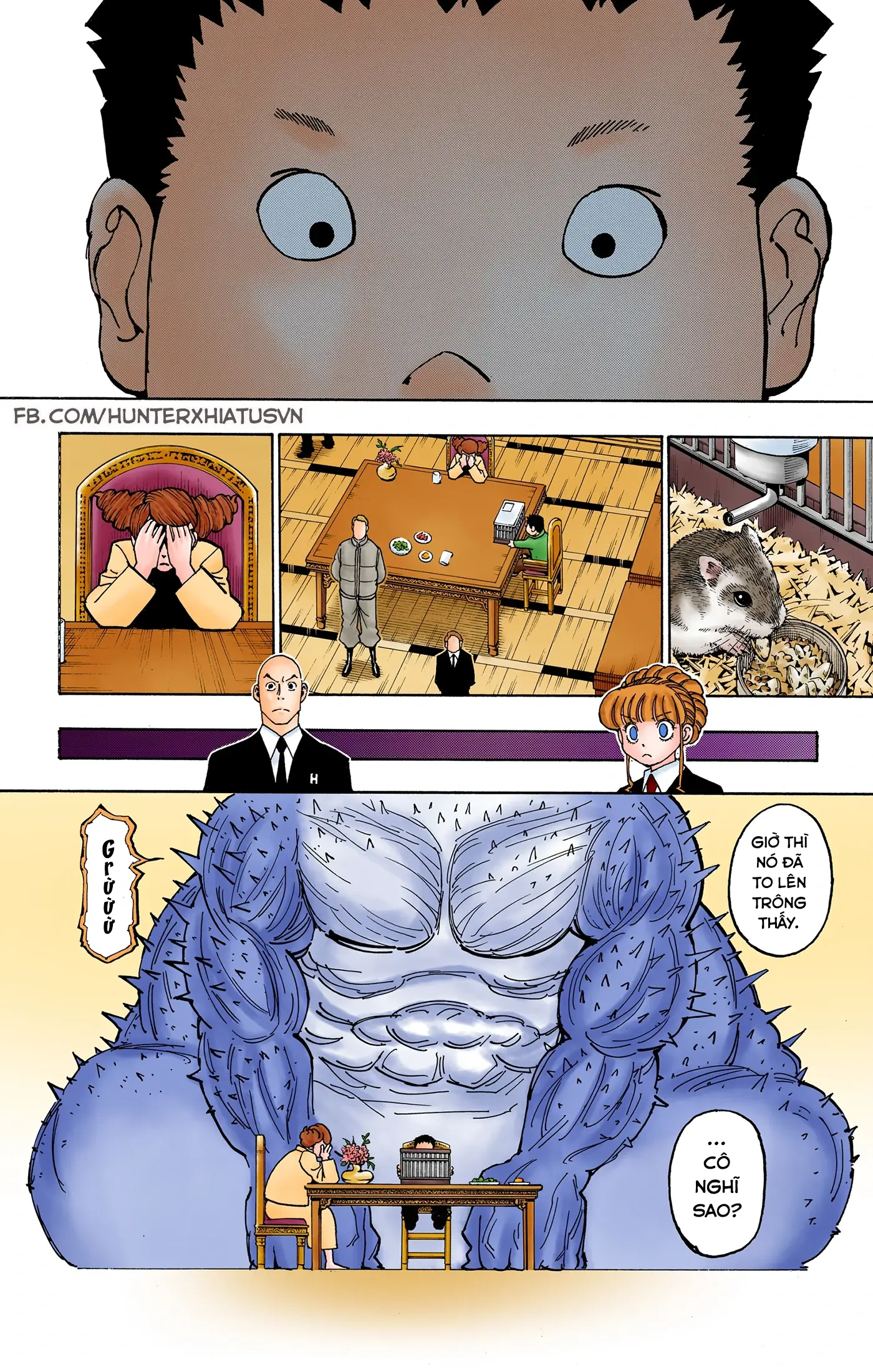 Hunter x Hunter (Bản Màu) Chapter 372 - Trang 5