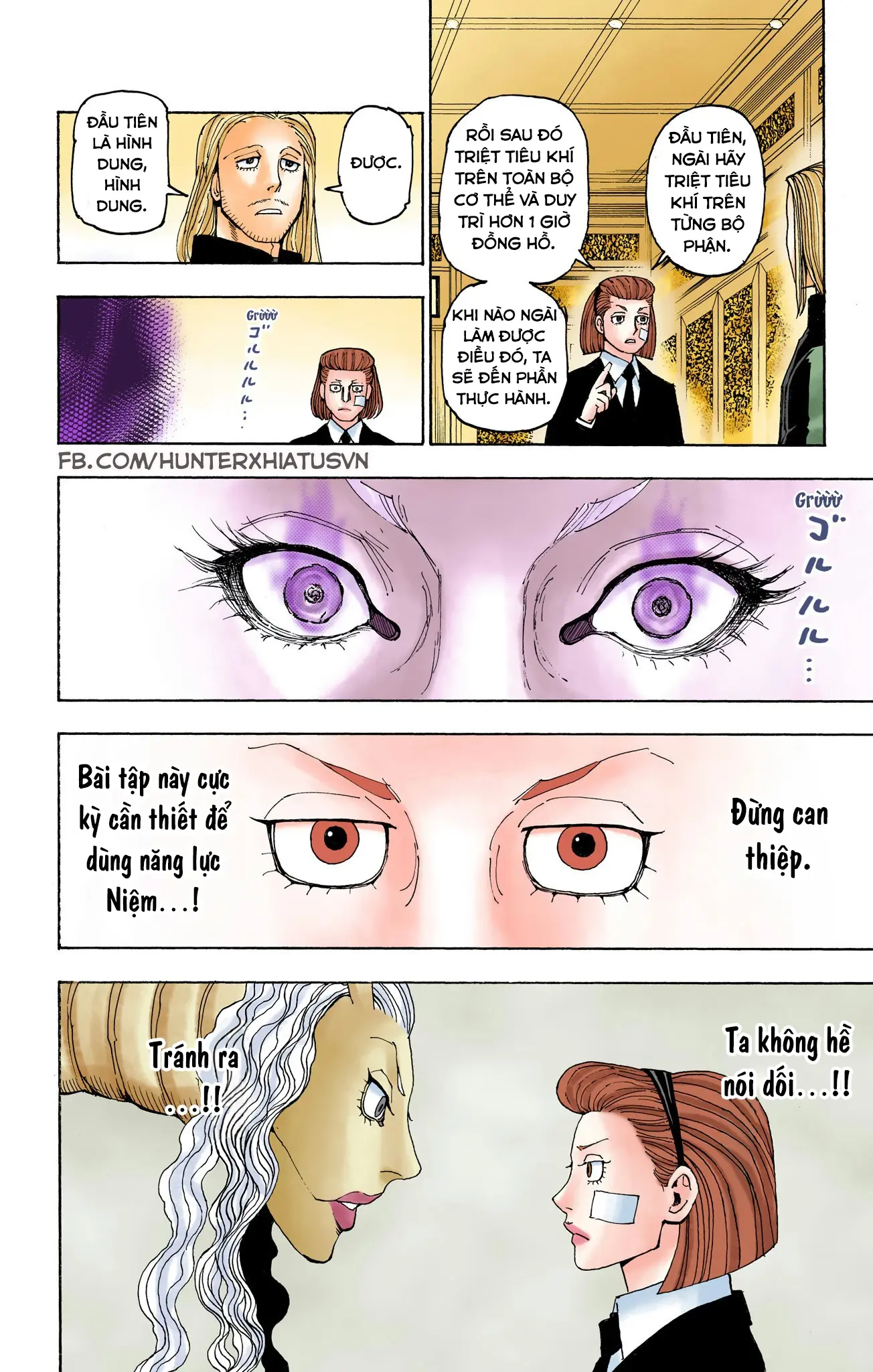 Hunter x Hunter (Bản Màu) Chapter 384 - Trang 16