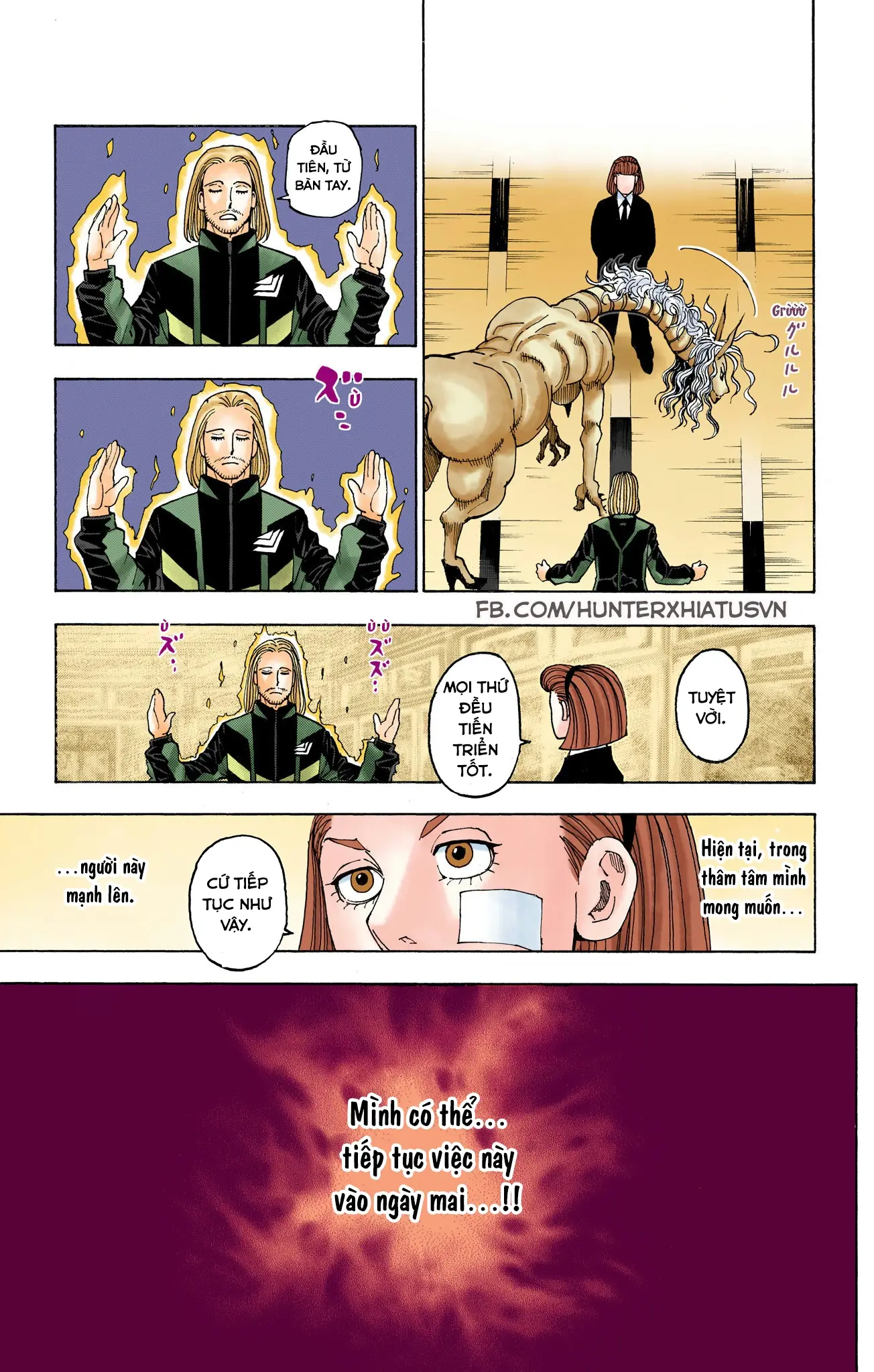 Hunter x Hunter (Bản Màu) Chapter 384 - Trang 17