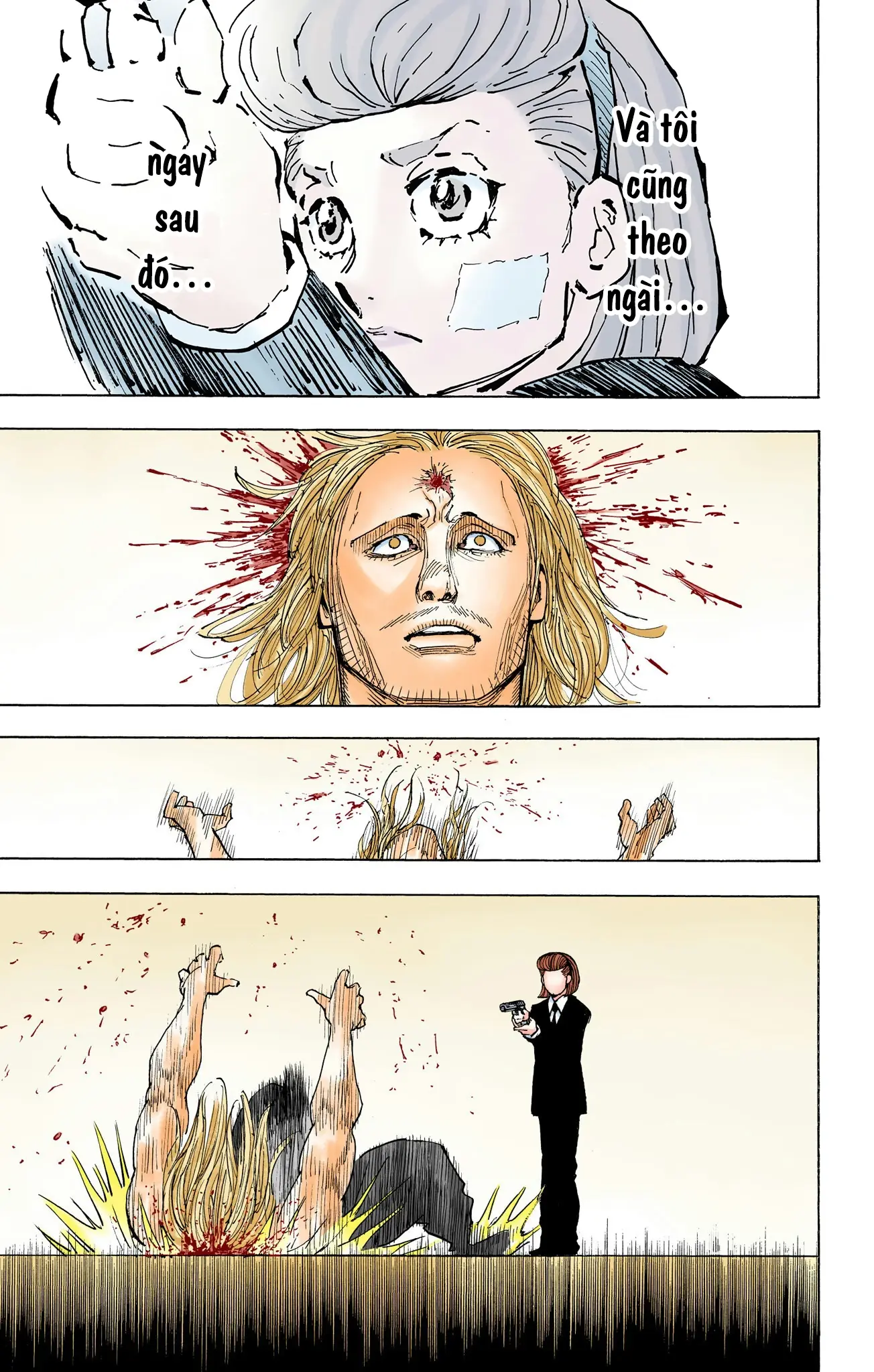 Hunter x Hunter (Bản Màu) Chapter 385 - Trang 12