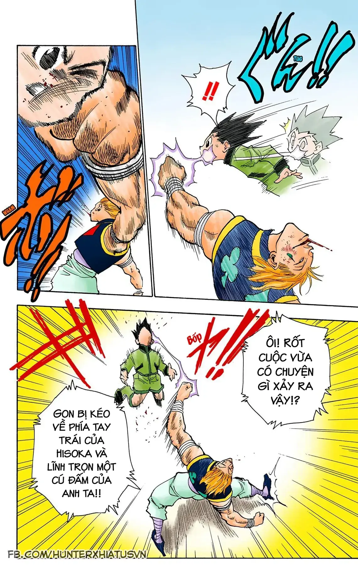 Hunter x Hunter (Bản Màu) Chapter 63 - Trang 11