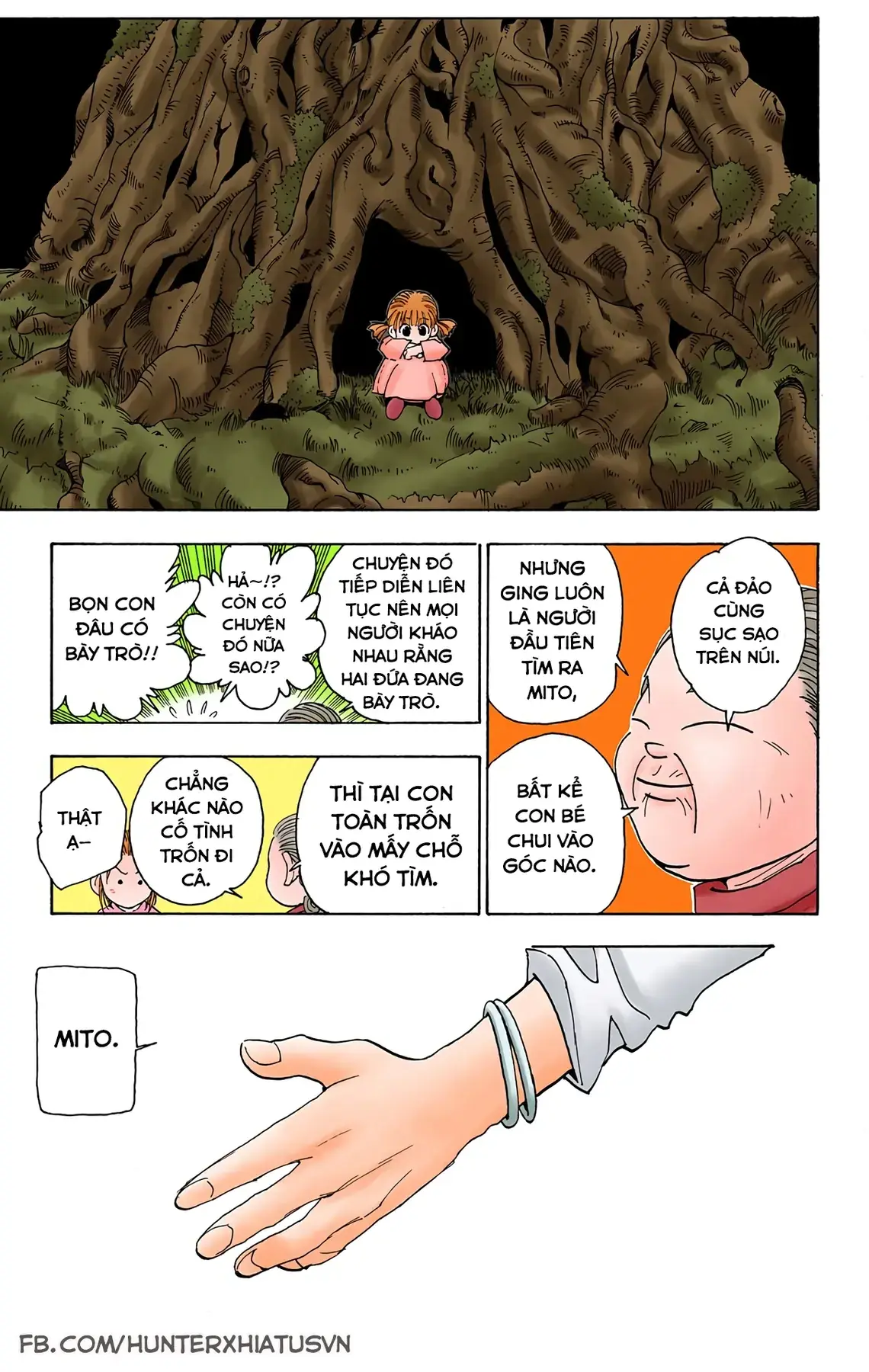 Hunter x Hunter (Bản Màu) Chapter 65 - Trang 10