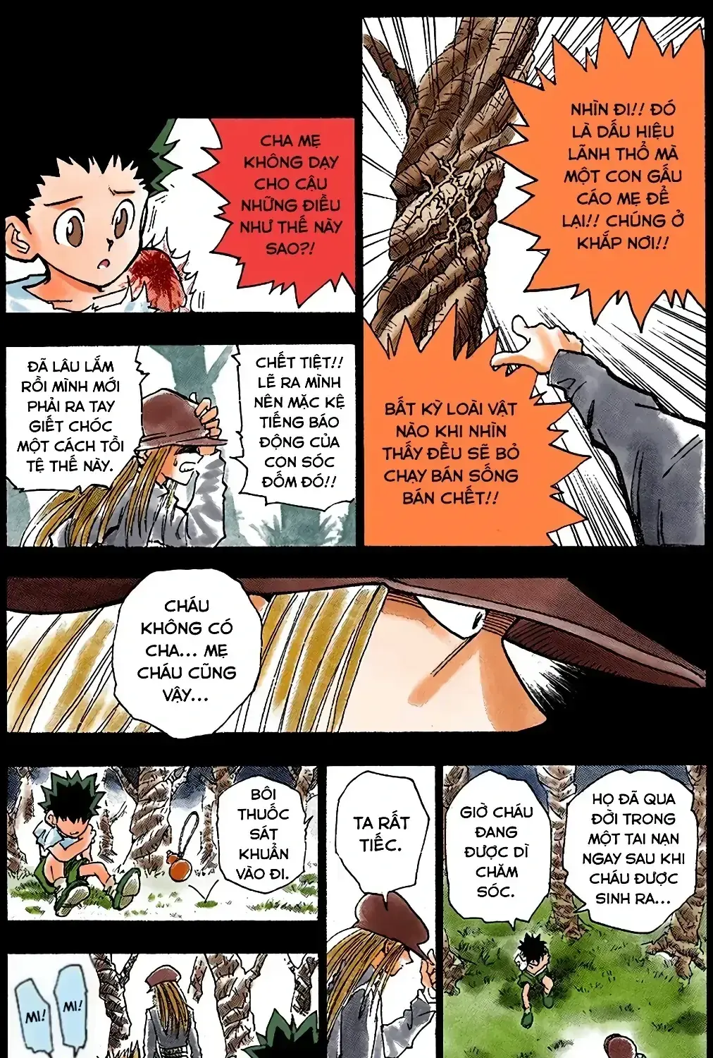 Hunter X Hunter (Digital Colored) Chapter 1 - Trang 39