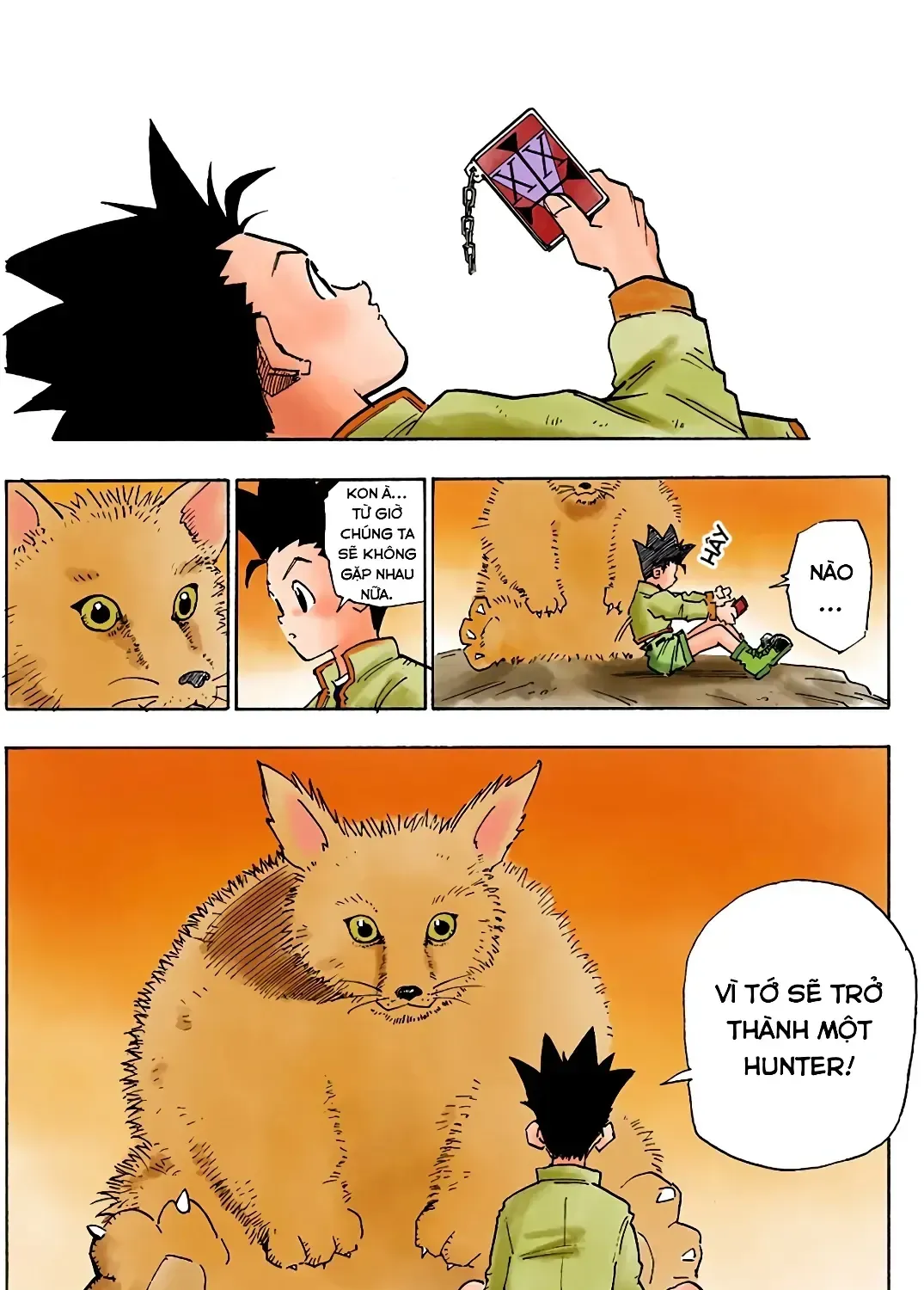 Hunter X Hunter (Digital Colored) Chapter 1 - Trang 49
