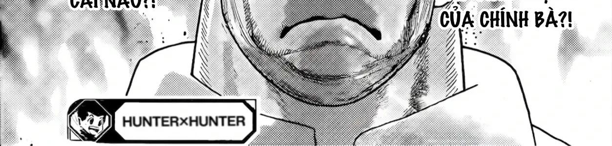 Hunter X Hunter (Digital Colored) Chapter 417 - Trang 39