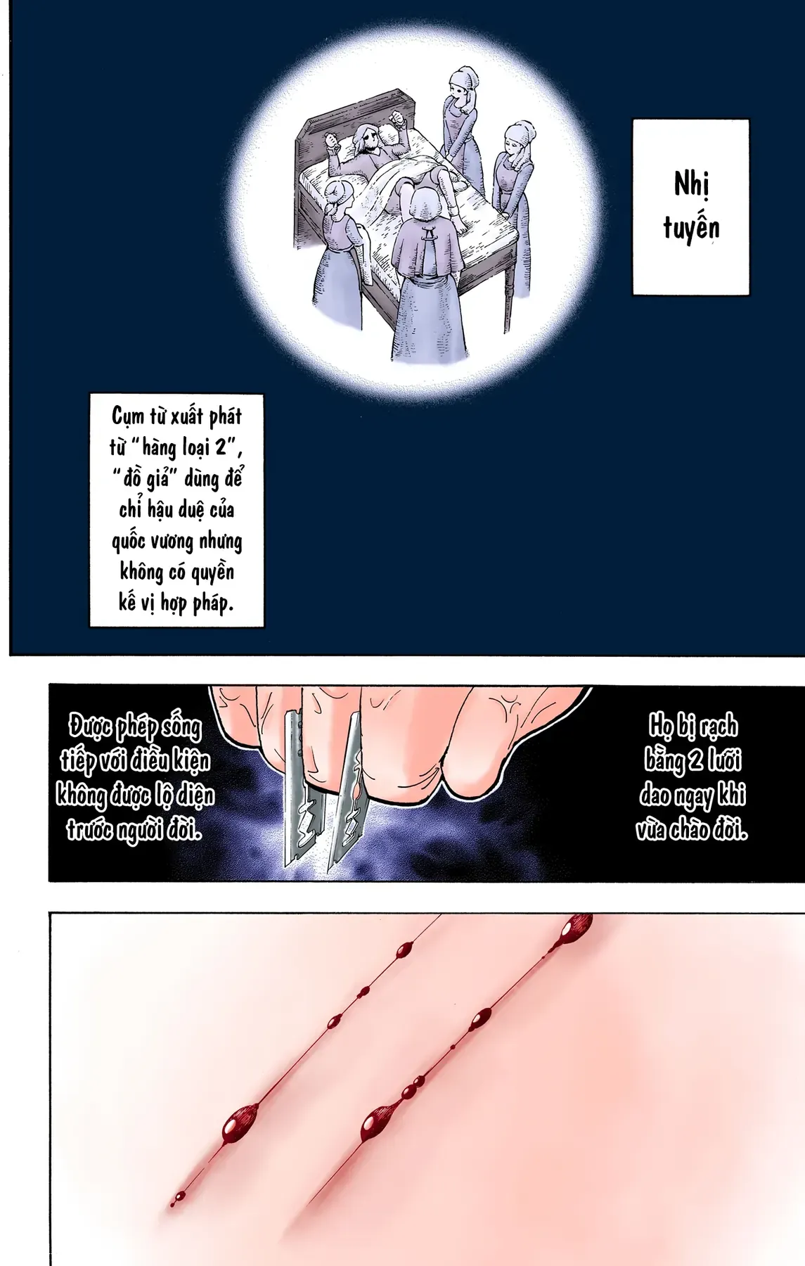Hunter×Hunter (Digital Colored) Chapter 378 - Trang 11
