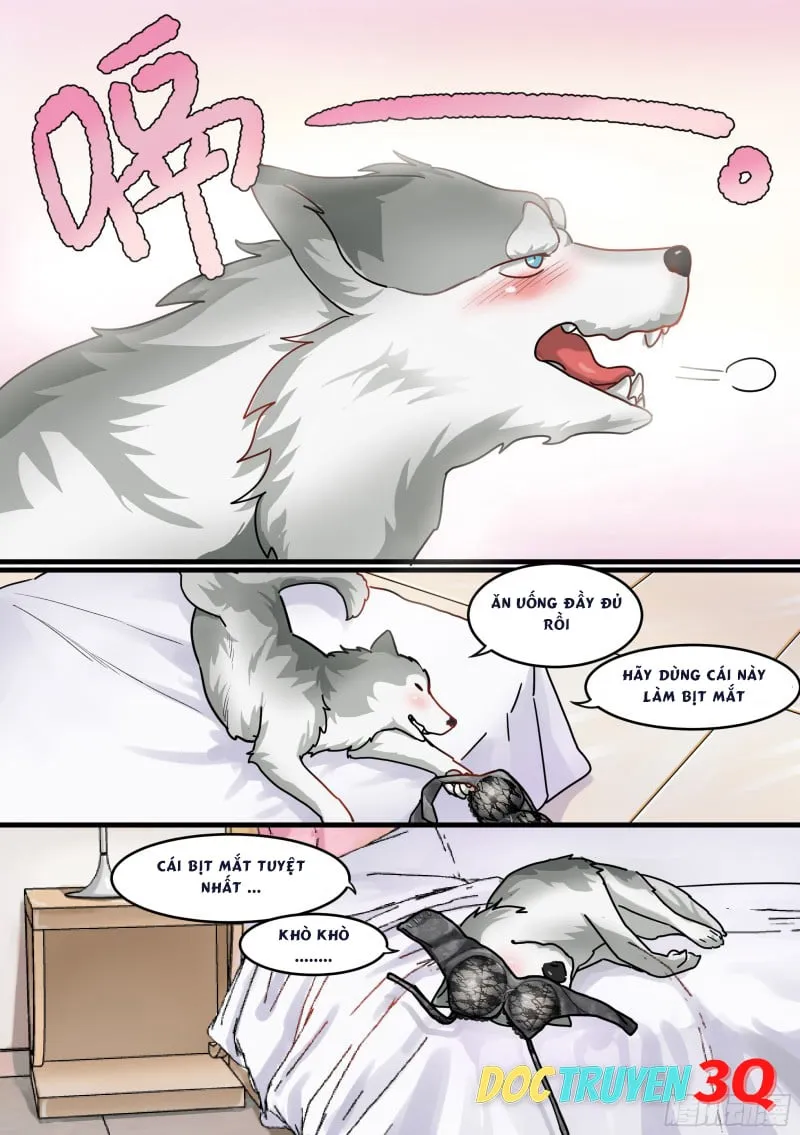 Husky Toàn Năng Của Nữ Thần Chapter 1 - Trang 10