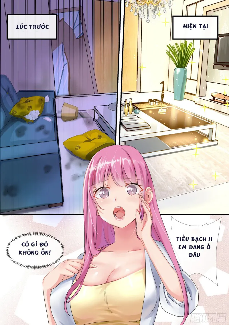 Husky Toàn Năng Của Nữ Thần Chapter 1 - Trang 12
