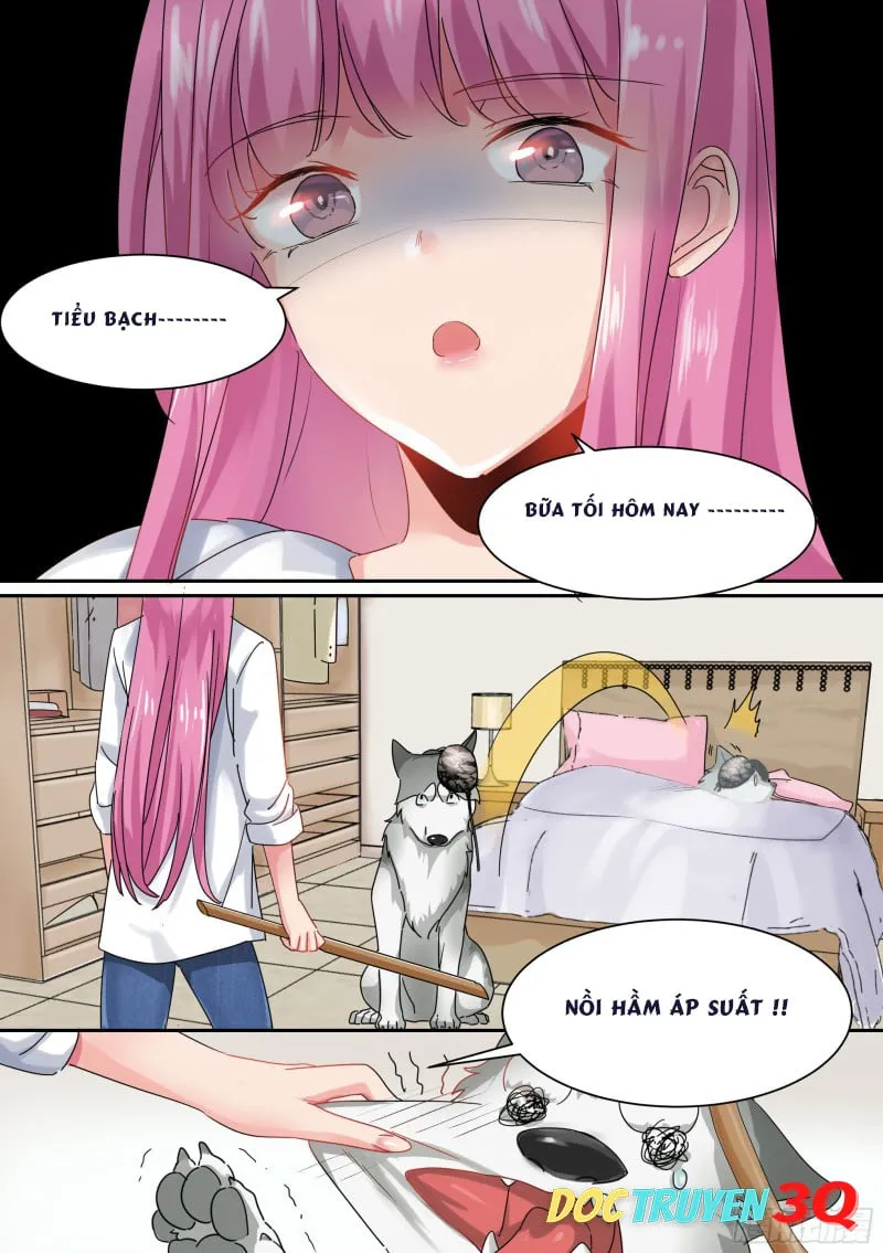 Husky Toàn Năng Của Nữ Thần Chapter 1 - Trang 14