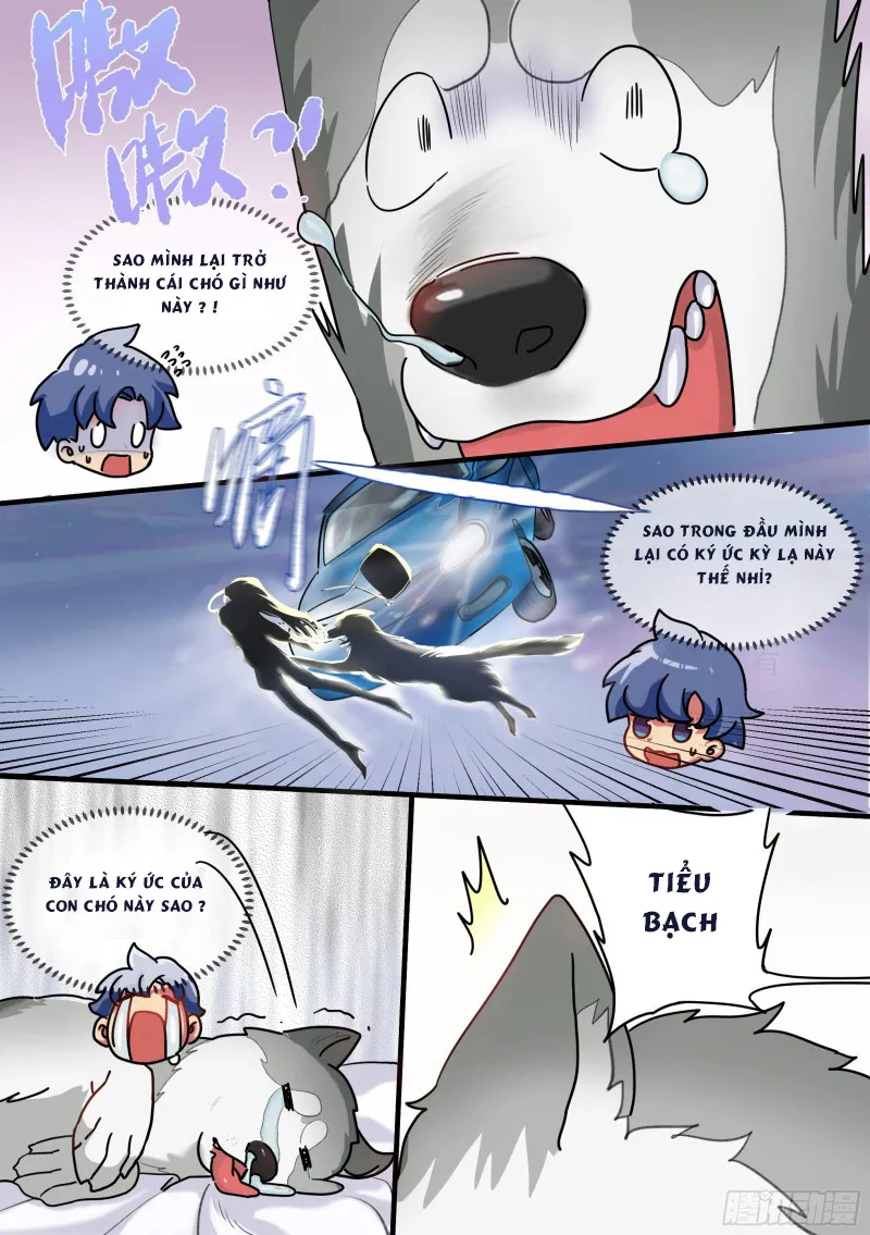 Husky Toàn Năng Của Nữ Thần Chapter 1 - Trang 4