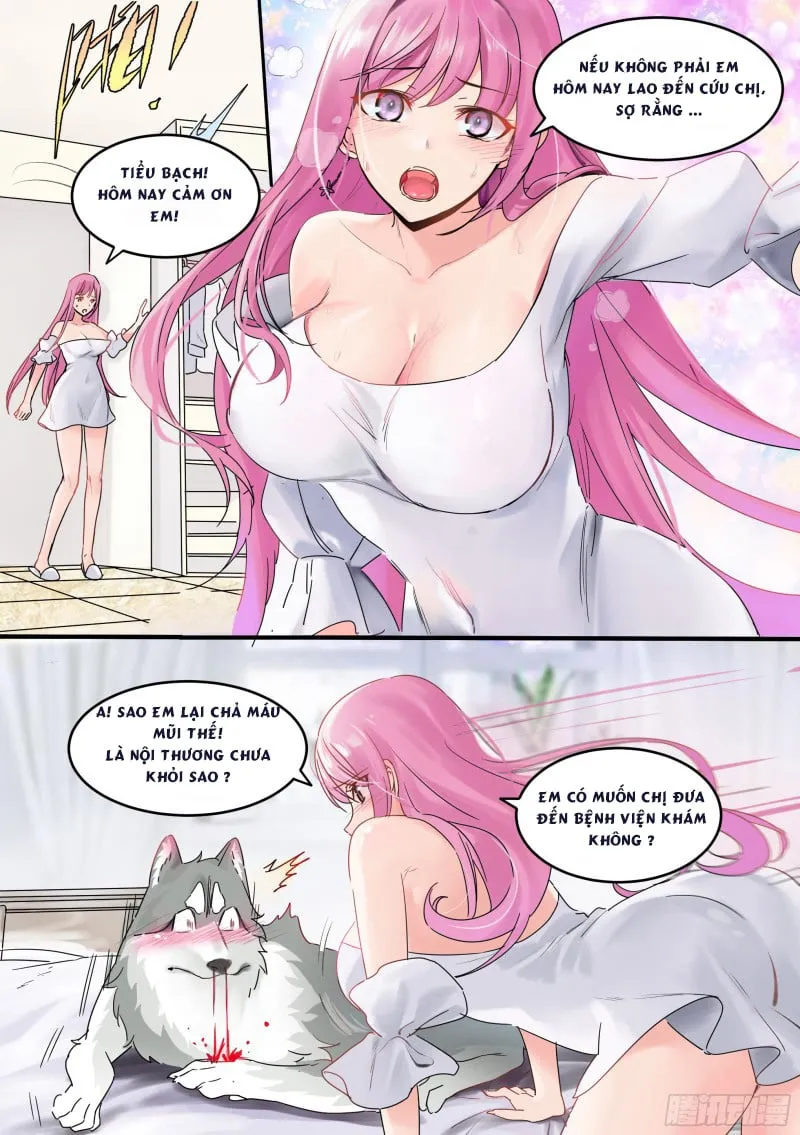 Husky Toàn Năng Của Nữ Thần Chapter 1 - Trang 5