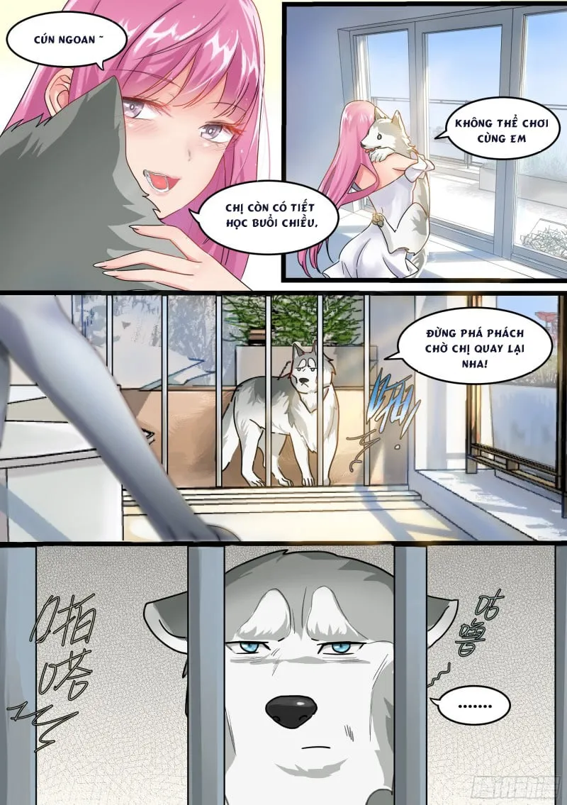 Husky Toàn Năng Của Nữ Thần Chapter 1 - Trang 7