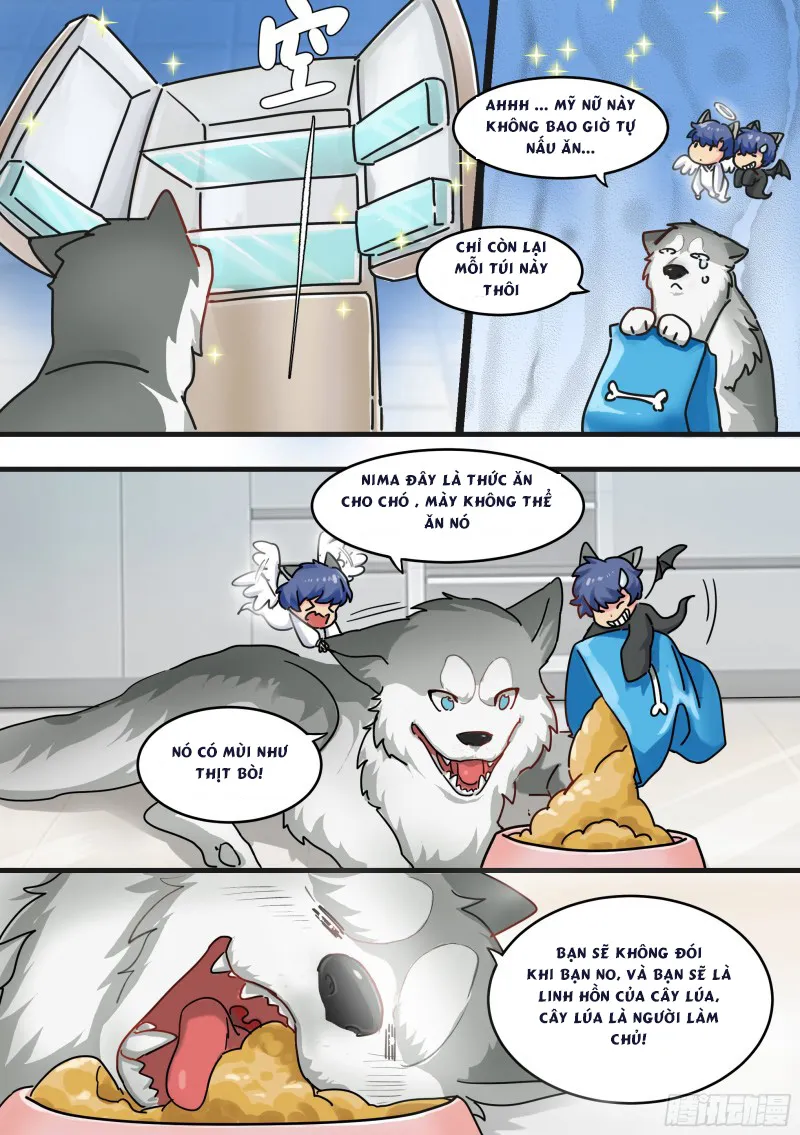 Husky Toàn Năng Của Nữ Thần Chapter 1 - Trang 9