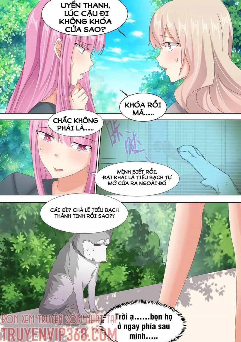 Husky Toàn Năng Của Nữ Thần Chapter 10 - Trang 10