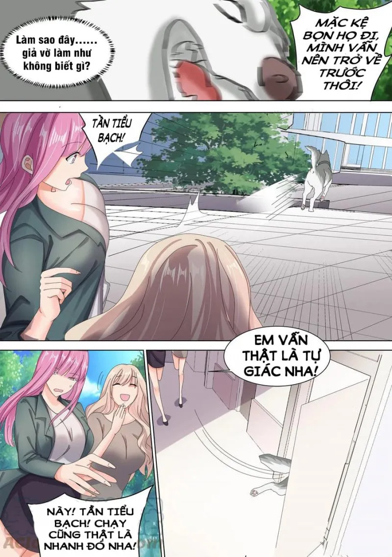 Husky Toàn Năng Của Nữ Thần Chapter 10 - Trang 11