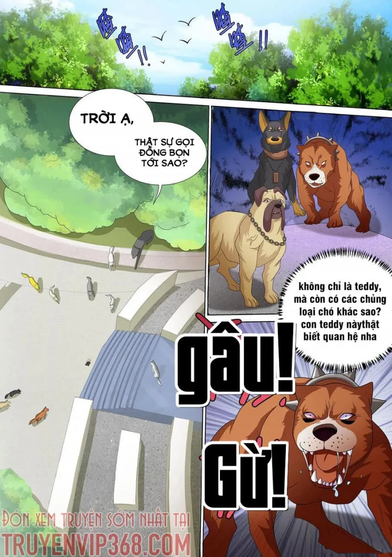 Husky Toàn Năng Của Nữ Thần Chapter 10 - Trang 2