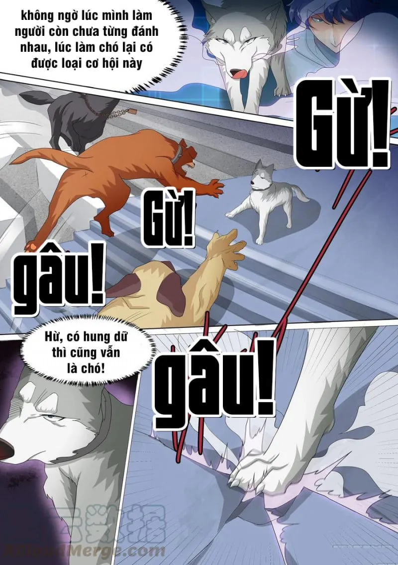 Husky Toàn Năng Của Nữ Thần Chapter 10 - Trang 3