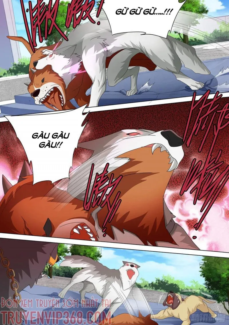 Husky Toàn Năng Của Nữ Thần Chapter 10 - Trang 4