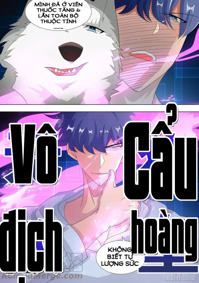 Husky Toàn Năng Của Nữ Thần Chapter 10 - Trang 5