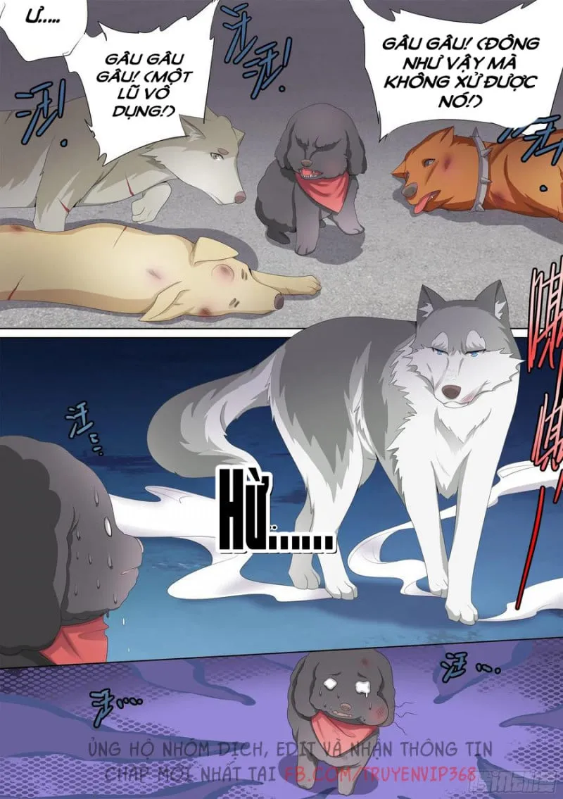 Husky Toàn Năng Của Nữ Thần Chapter 10 - Trang 6