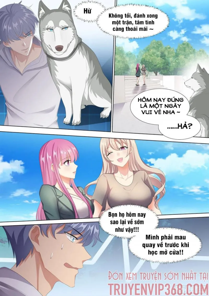 Husky Toàn Năng Của Nữ Thần Chapter 10 - Trang 8