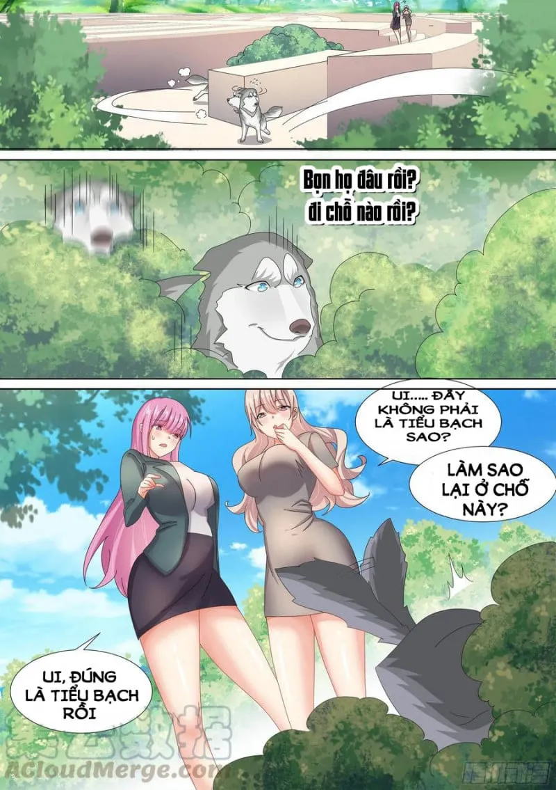Husky Toàn Năng Của Nữ Thần Chapter 10 - Trang 9
