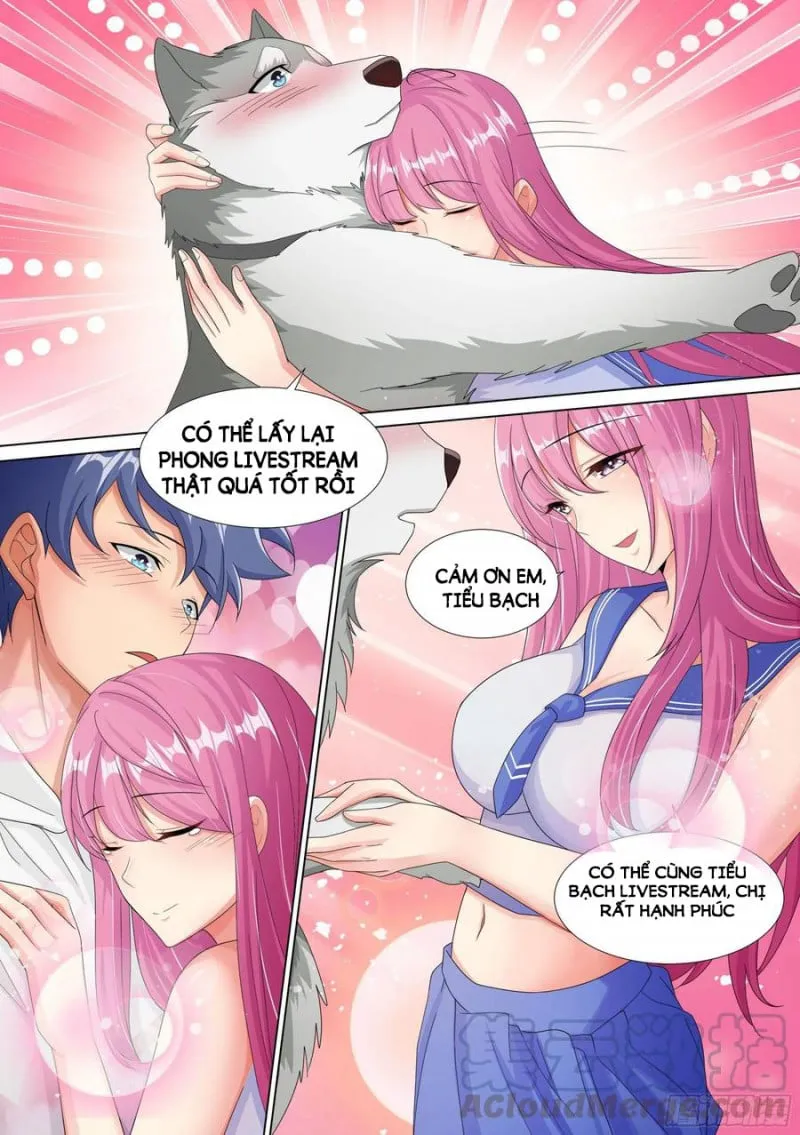 Husky Toàn Năng Của Nữ Thần Chapter 11 - Trang 13