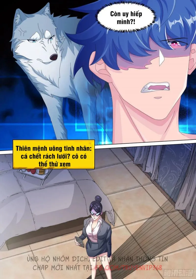 Husky Toàn Năng Của Nữ Thần Chapter 13 - Trang 10