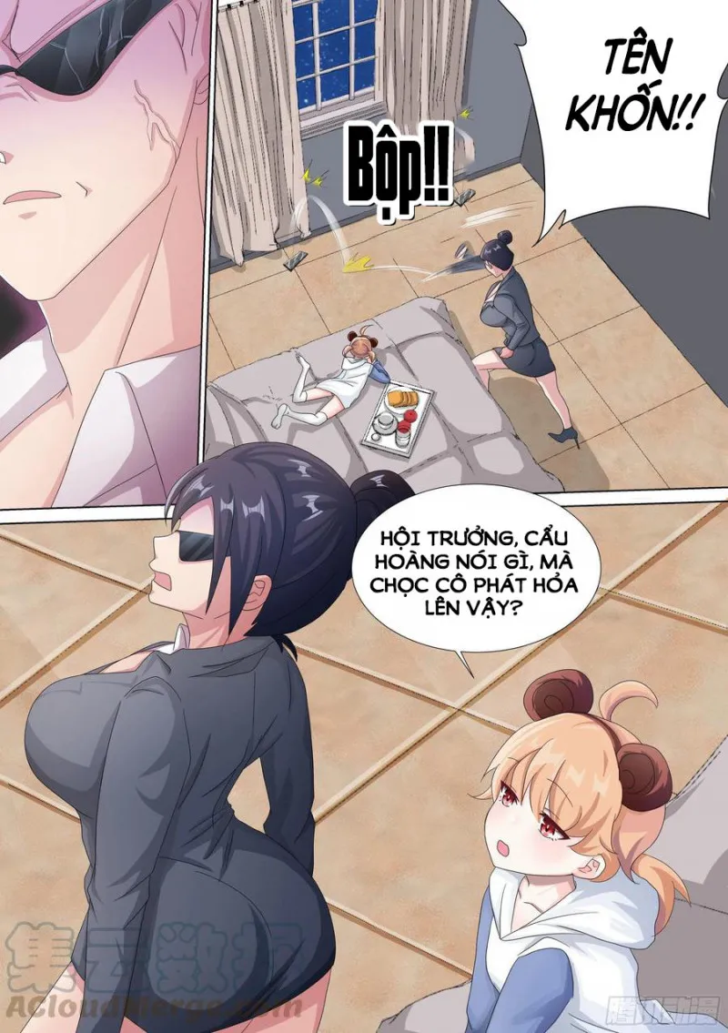 Husky Toàn Năng Của Nữ Thần Chapter 13 - Trang 11