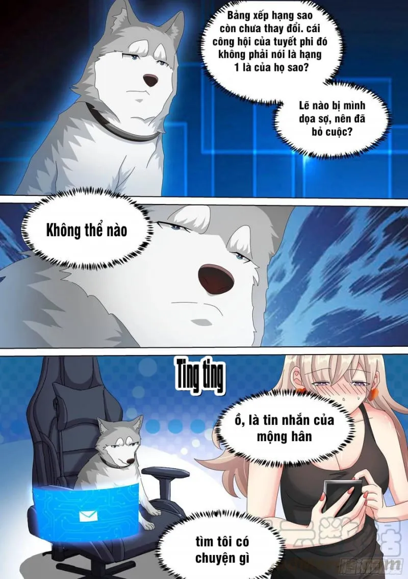 Husky Toàn Năng Của Nữ Thần Chapter 13 - Trang 13
