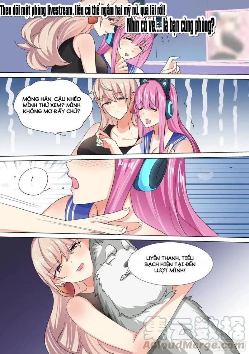 Husky Toàn Năng Của Nữ Thần Chapter 13 - Trang 3