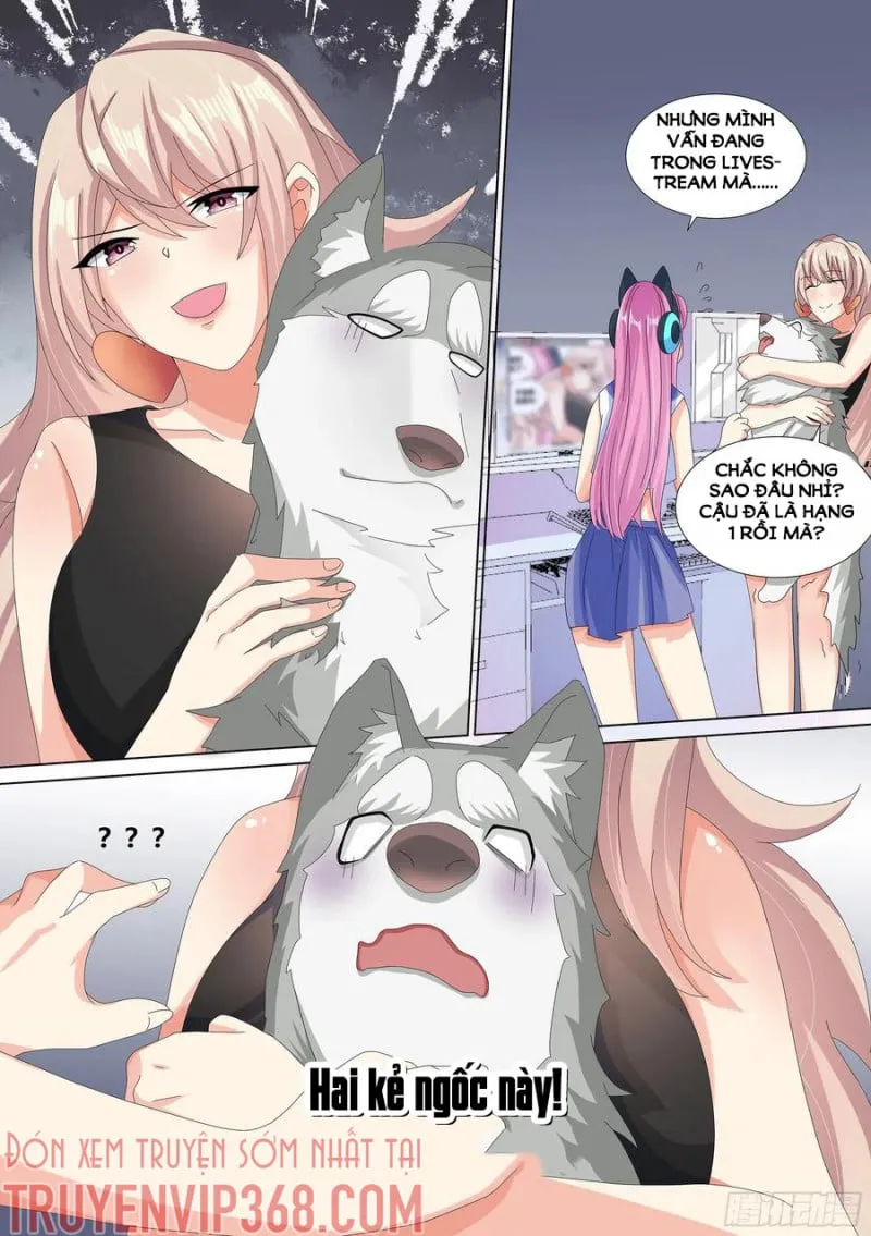 Husky Toàn Năng Của Nữ Thần Chapter 13 - Trang 4