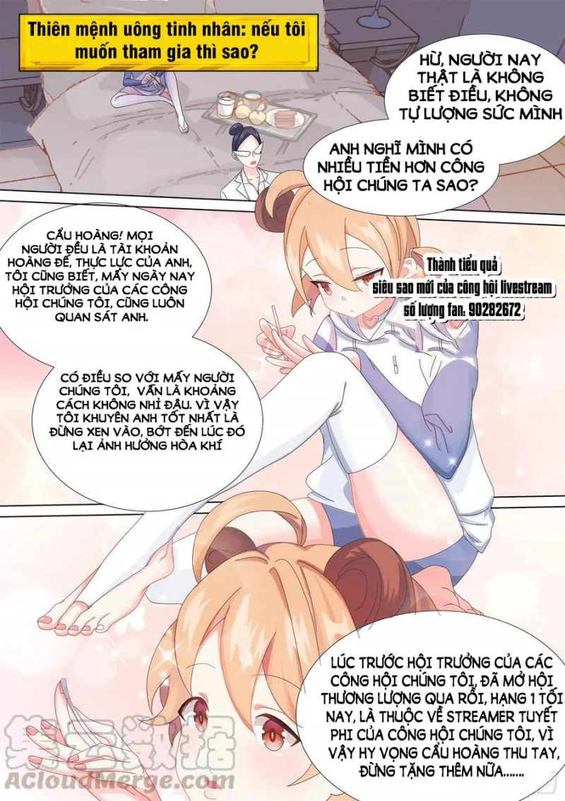 Husky Toàn Năng Của Nữ Thần Chapter 13 - Trang 7