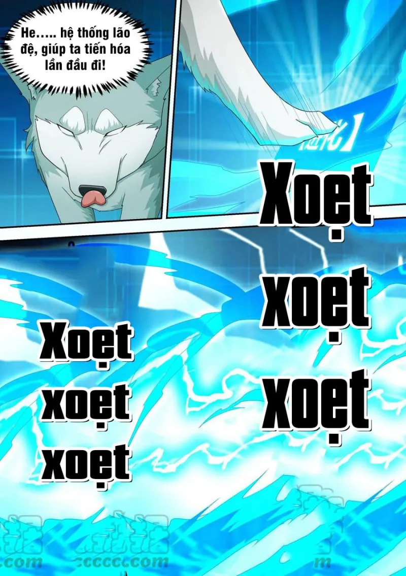 Husky Toàn Năng Của Nữ Thần Chapter 15 - Trang 11