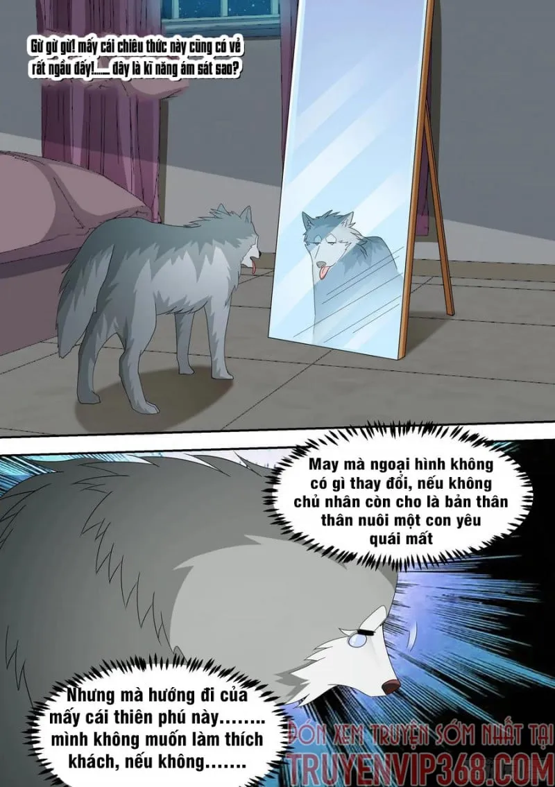 Husky Toàn Năng Của Nữ Thần Chapter 15 - Trang 16