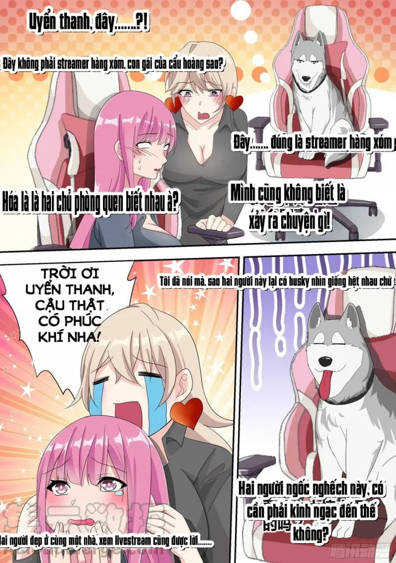 Husky Toàn Năng Của Nữ Thần Chapter 15 - Trang 3