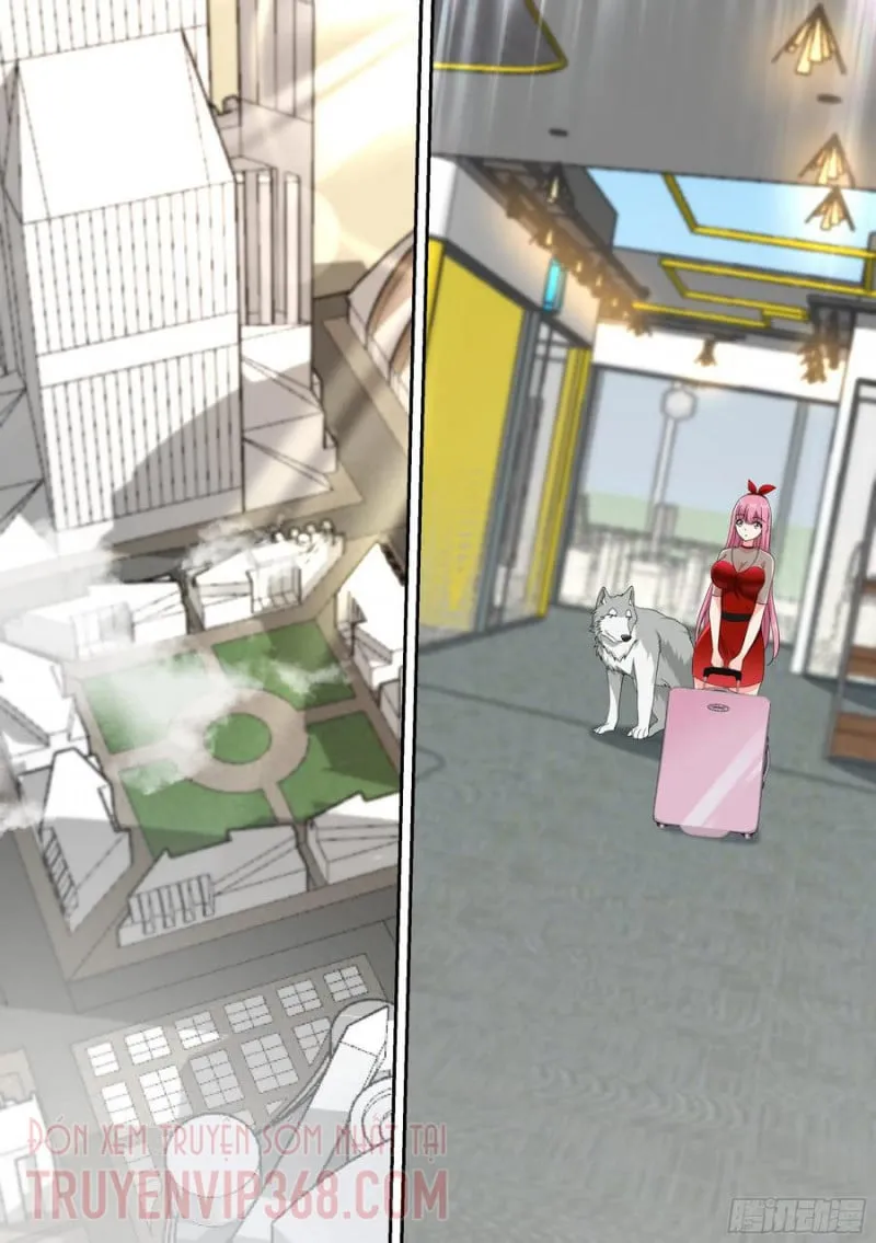 Husky Toàn Năng Của Nữ Thần Chapter 16 - Trang 3